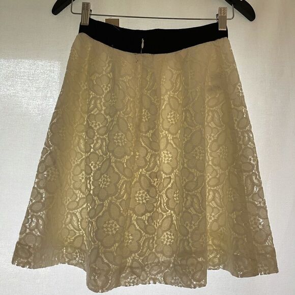 Loft lace skirt - Picture 12 of 14